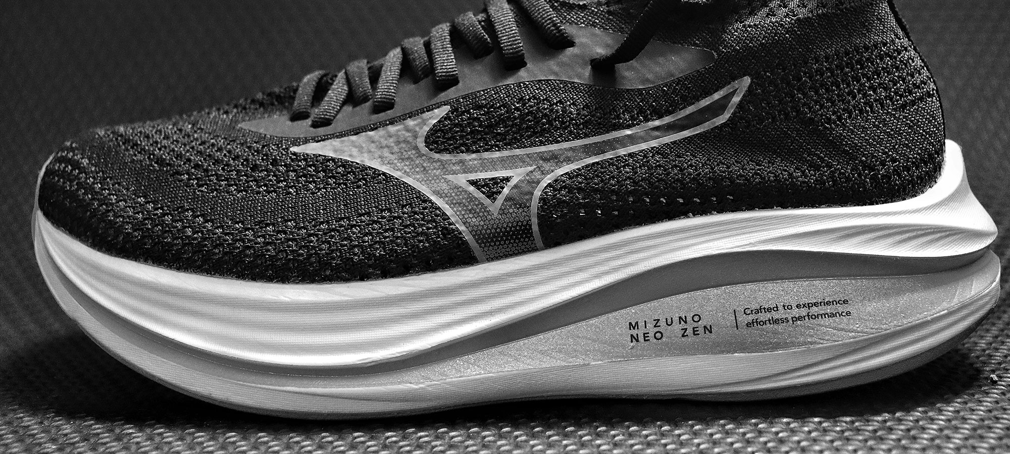 Black And White Shoe Image